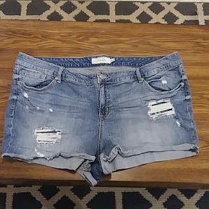 Torrid Jean Shorts